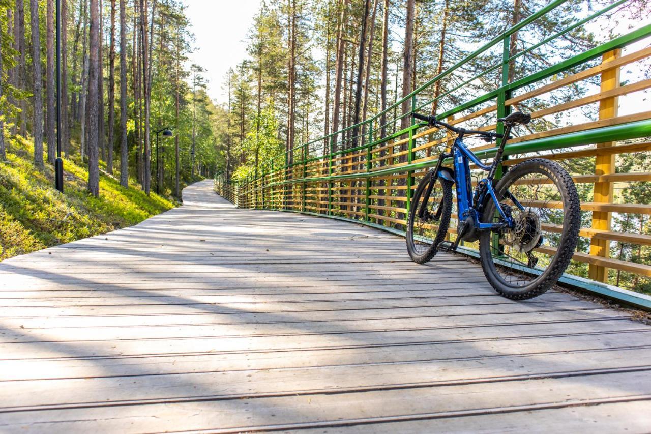 In Lapland - Sointuilevi A71 Levi